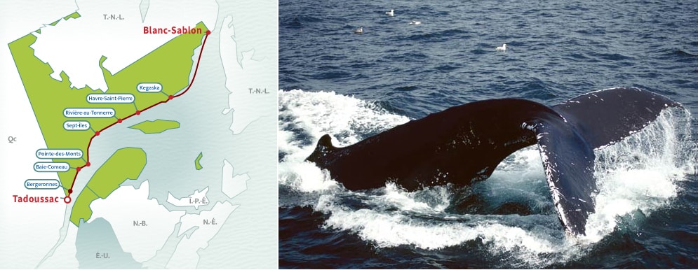 Route des Baleines de Tadoussac à Blanc-Sablon