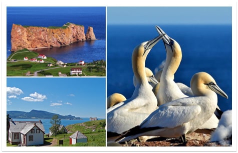 A voir et à faire au Québec : Rocher Percé et île Bonaventure