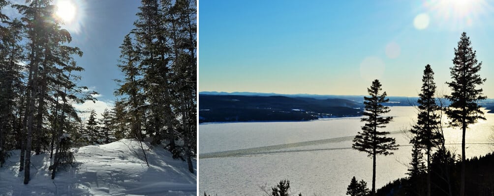 Forêt boréale et fjord du Saguenay