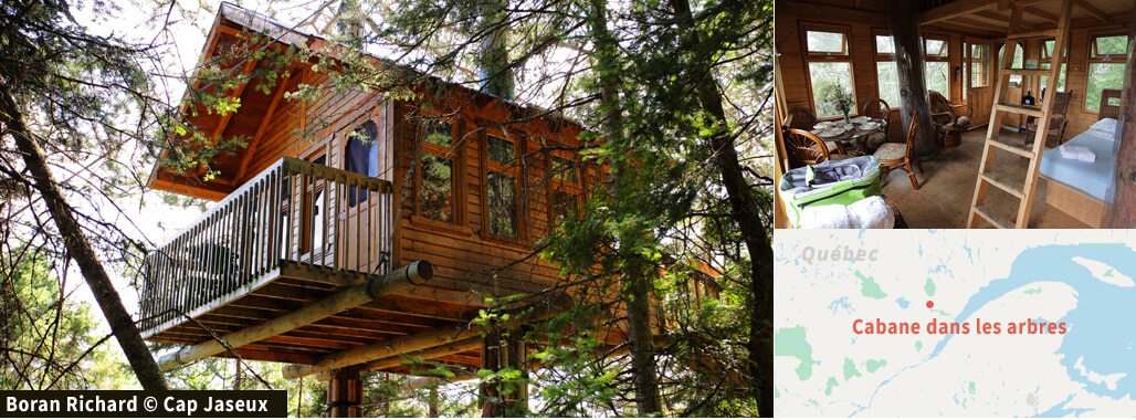 Cabane dans les arbres Cap Jaseux