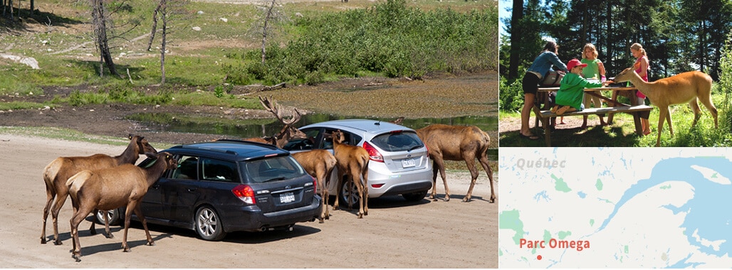 Parc animalier Omega