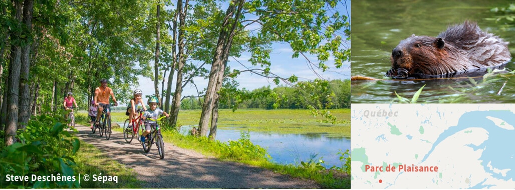 Vélo au parc national de Plaisance