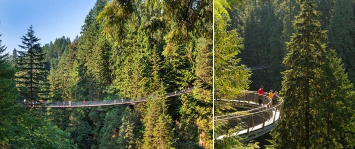 Vancouver Capilano Brigde