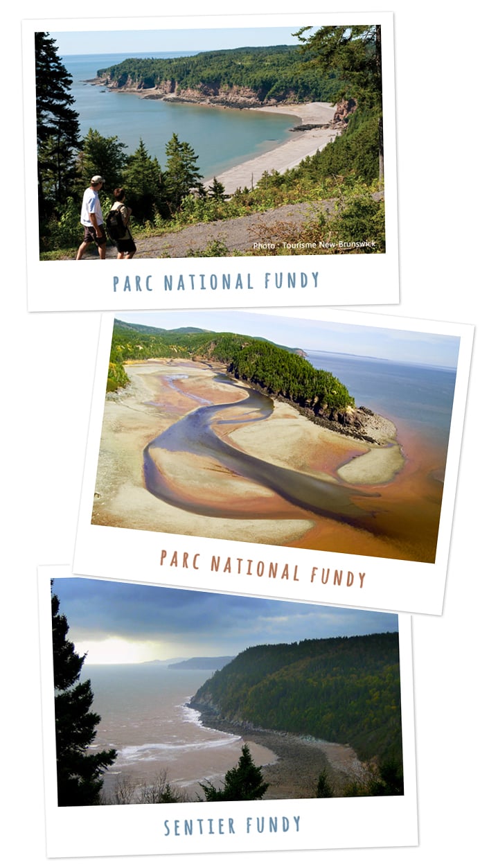 Nouveau Brunswick - Parc national Fundy