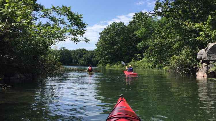 Trois kayaks dans les Mille-Îles