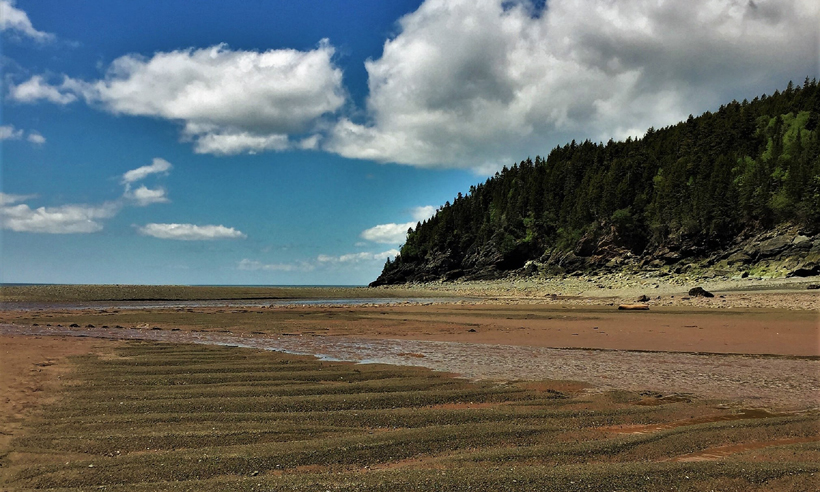 Sentier plage Anse Herring au parc de Fundy