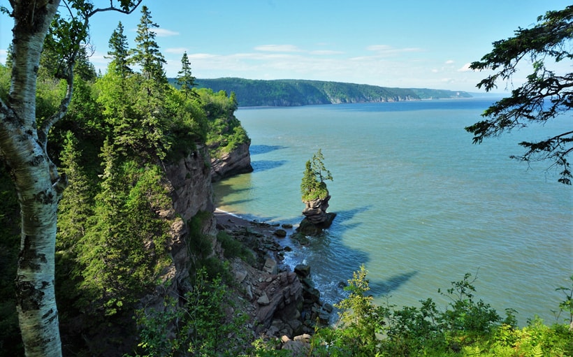 Sentier pots de Fleurs au Fundy Trail Parkway