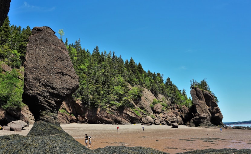 Marcher sur la plage à Hopewell Rocks au Nouveau-Brunswick 