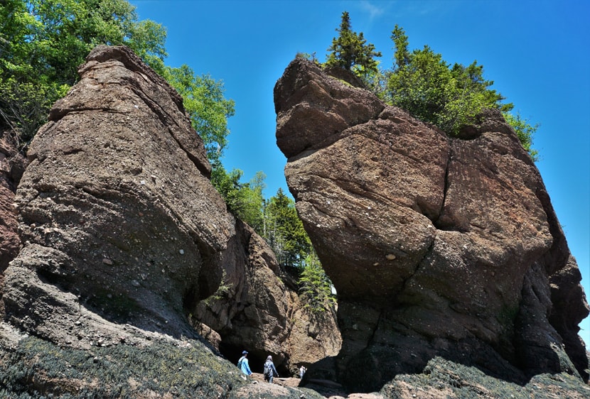 Marcher à Hopewell Rocks au Nouveau-Brunswick 