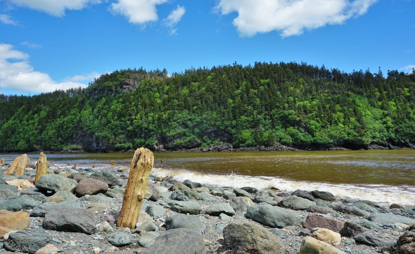 Sentier plage Anse Herring au parc de Fundy