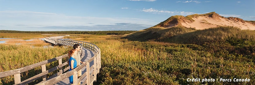 Dunes de Greenwich sur l'île-du-Prince-Édouard