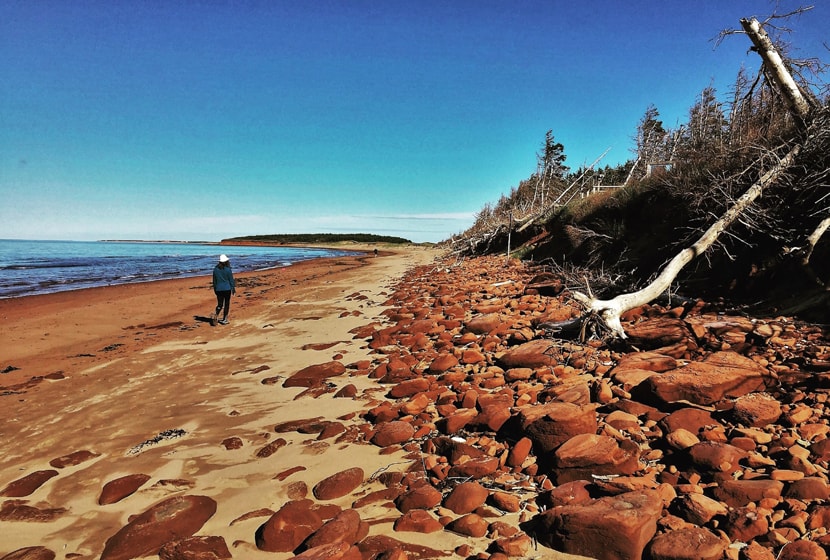 plage ïle Robinsons au parc national de l'île-du-Prince-Édouard