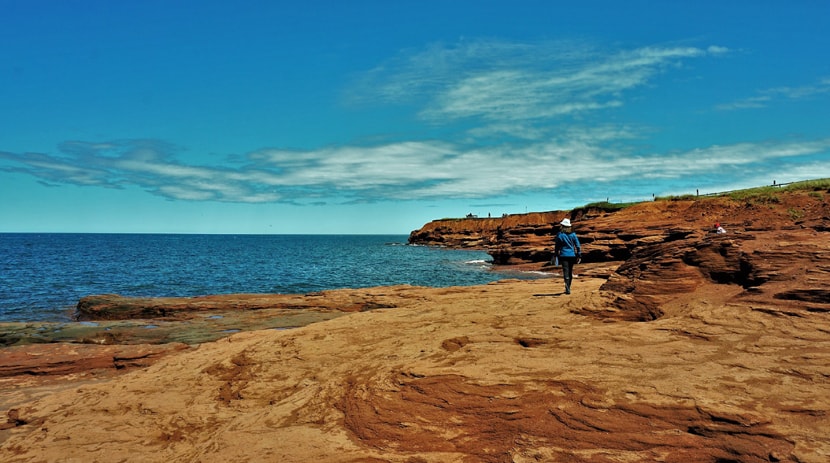 Oceanview lookout au parc national de l'île-du-Prince-Édouard