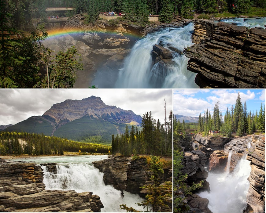 Parc national Jasper : Chutes Athabasca