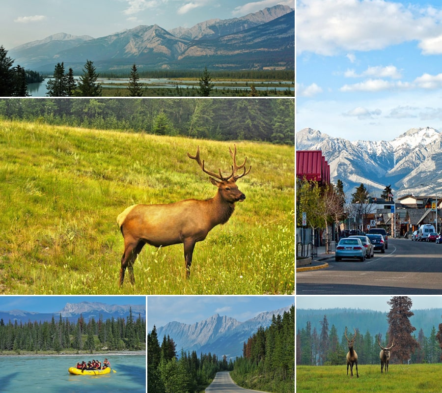 images du parc jasper