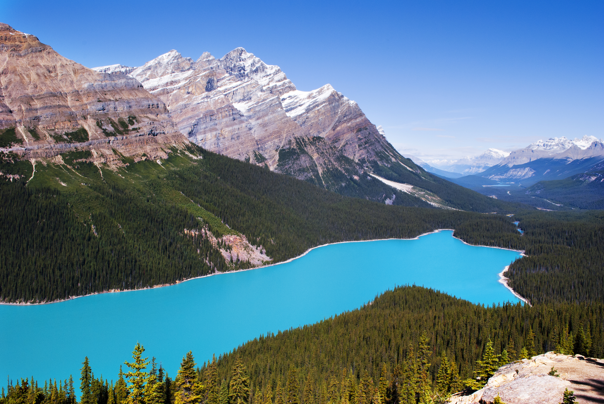 Lac Peyto