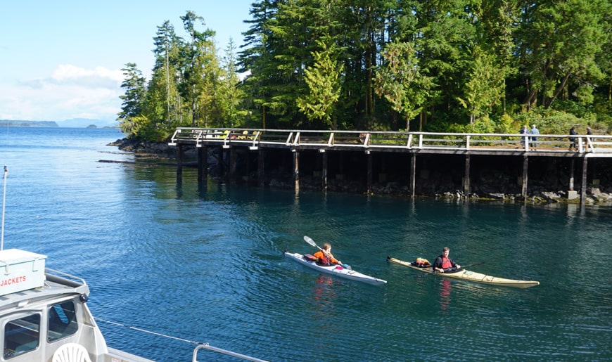 Kayakistes à Telegraph Cove