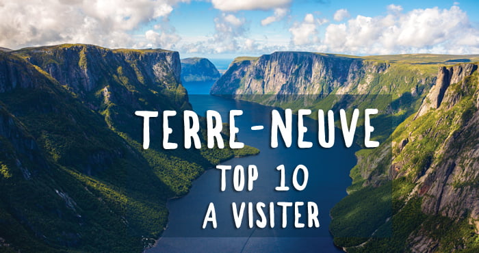 Terre-Neuve : Top 10 à visiter