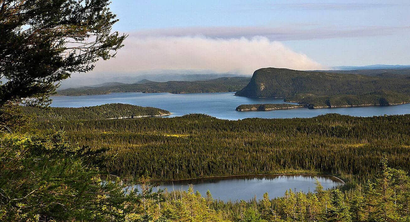 Parc national Terra-Nova à Terre-Neuve
