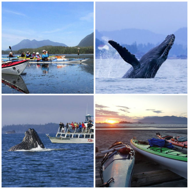 Kayak de mer Ucluelet