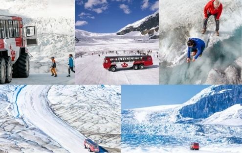 Columbia Icefield Glacier Experience