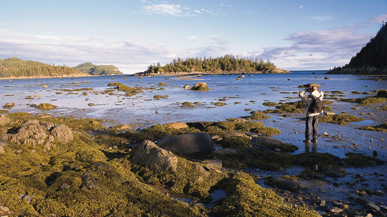 La Gaspésie Grandeur Nature Parcours Canada