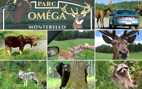 Parc animalier Omega