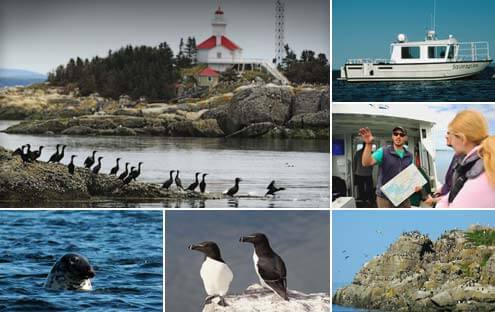 Croisière les îles du Pot et son phare