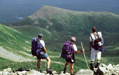 Randonnée guidée parc Gaspésie