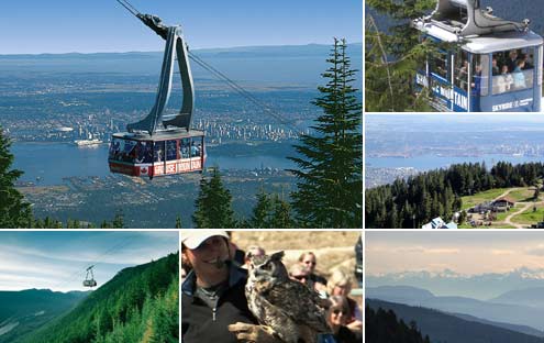 Grouse mountain