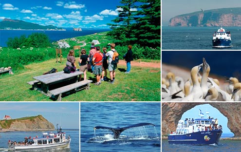 Croisière Rocher Percé – Ile Bonaventure