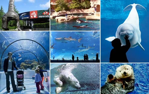 Aquarium de Vancouver