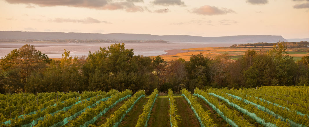 groupe voyage quebec nouvelle ecosse