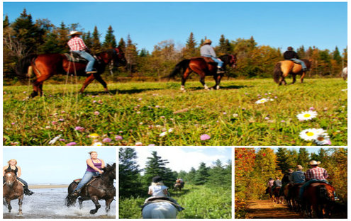 Equitation à Saint Irénée entre monts et marées