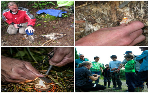 Journée Taïga : initiation à la survie en forêt