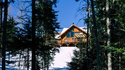 foret chalet