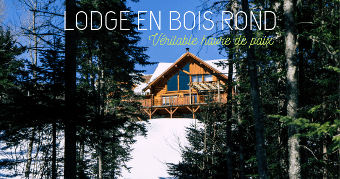 lodge bois foret