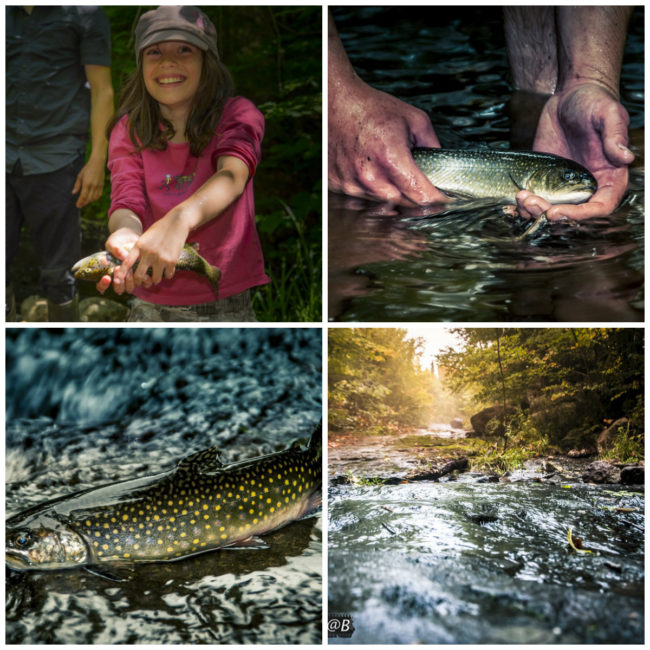 Pêche ancestrale à main nue en torrent