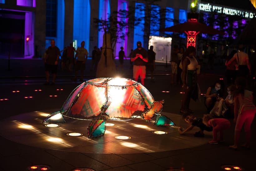 tortue lumineuse