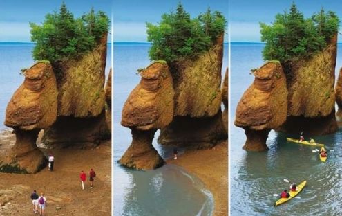 Excursion guidée en Kayak de mer dans la Baie de Fundy