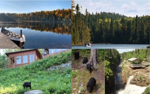 Forfait amérindien : 1/2 journée avec observation de l’ours, rabaska & canyon