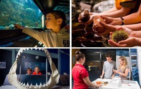 Exploramer : Aquarium et musée