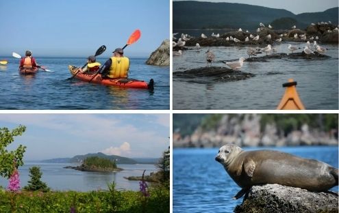 Parc national du Bic – Excursion en kayak de mer