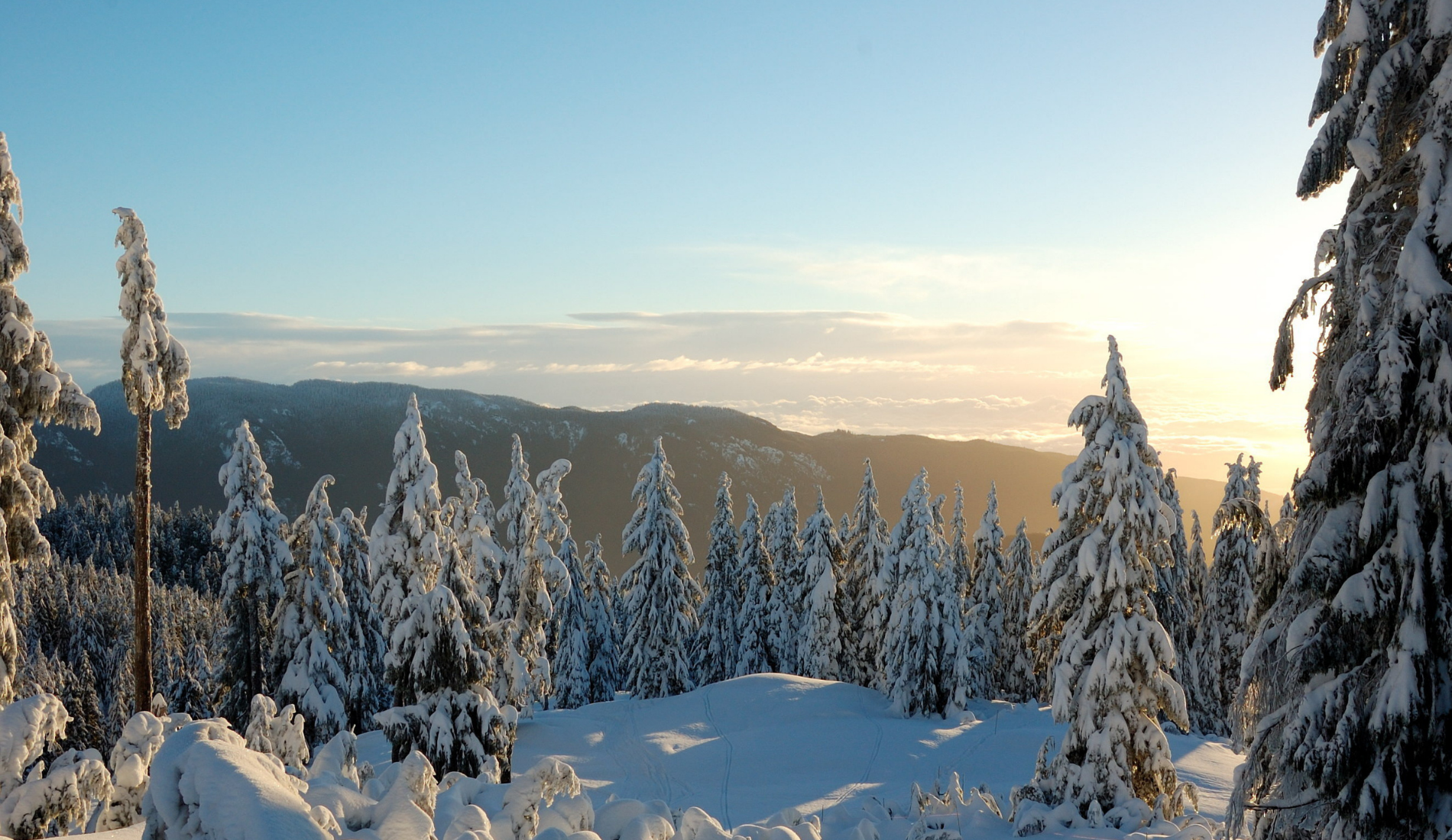 Paysage Canadien