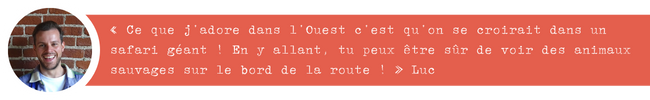 « Ce que j’adore dans l’Ouest c’est qu’on se croirait dans un safari géant ! En y allant, tu peux être sûr de voir des animaux sauvages sur le bord de la route ! » Luc