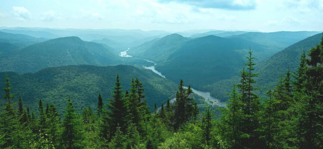 Parc de la Jacques Cartier