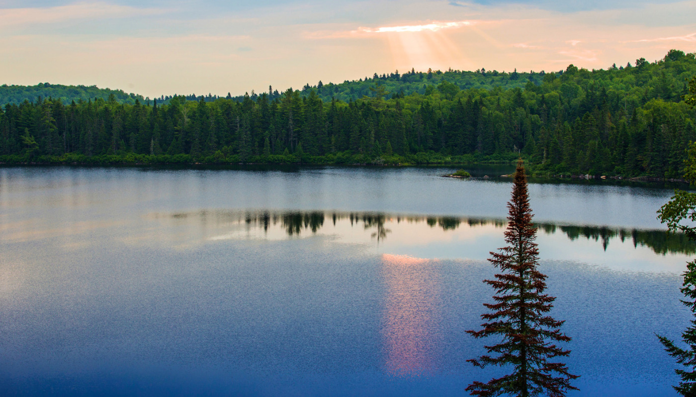 MAURICIE