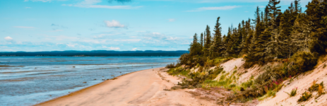 La Côte Nord, l'autre Québec - Premiers pas dans la nature