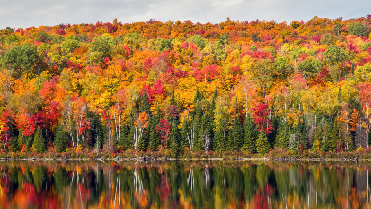 RÉGION QUÉBEC – Couleurs automne
