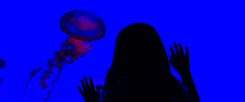 Aquarium Ripley de Toronto